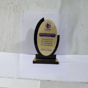 Metal Customized Trophies